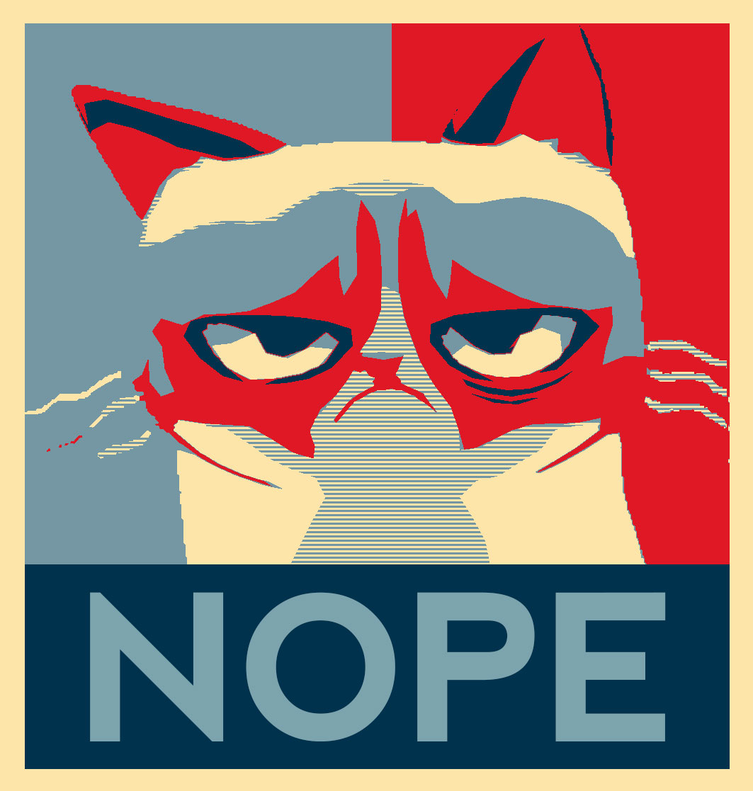 grumpy+cat+nope.jpg