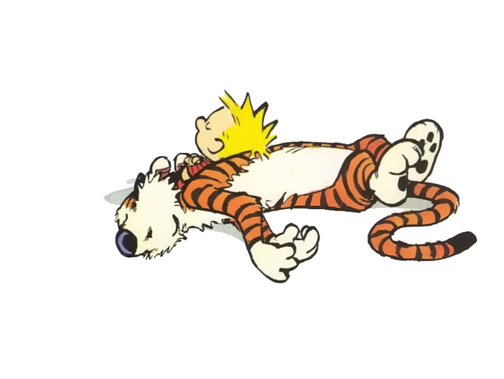 Sleeping1024.jpg