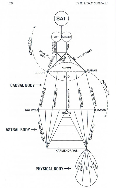 Diagram.jpg