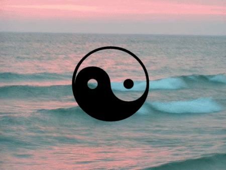 tumblr_lu62tj3CdJ1qchbobo1_500.gif