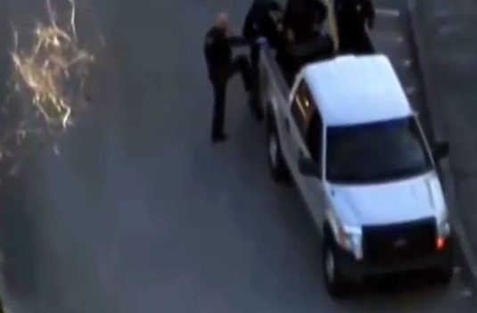 copsguns.jpg