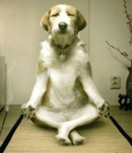 Image result for meditating