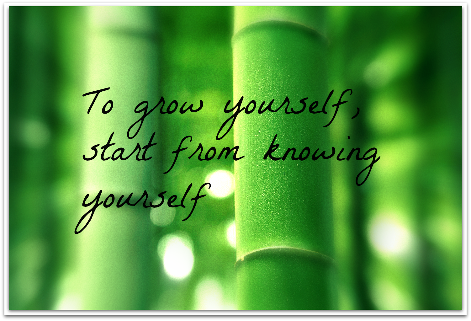 615678768-personal-growth-quote.png