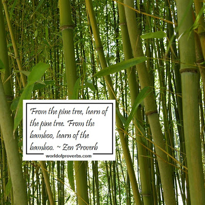 175218705-Bamboo-Quotes2.jpg