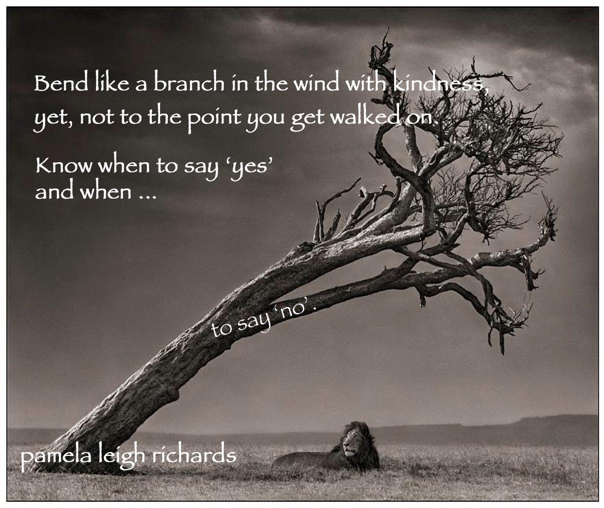 Lion-Tree-Bending-like-a-branch-pamela-quote.jpg