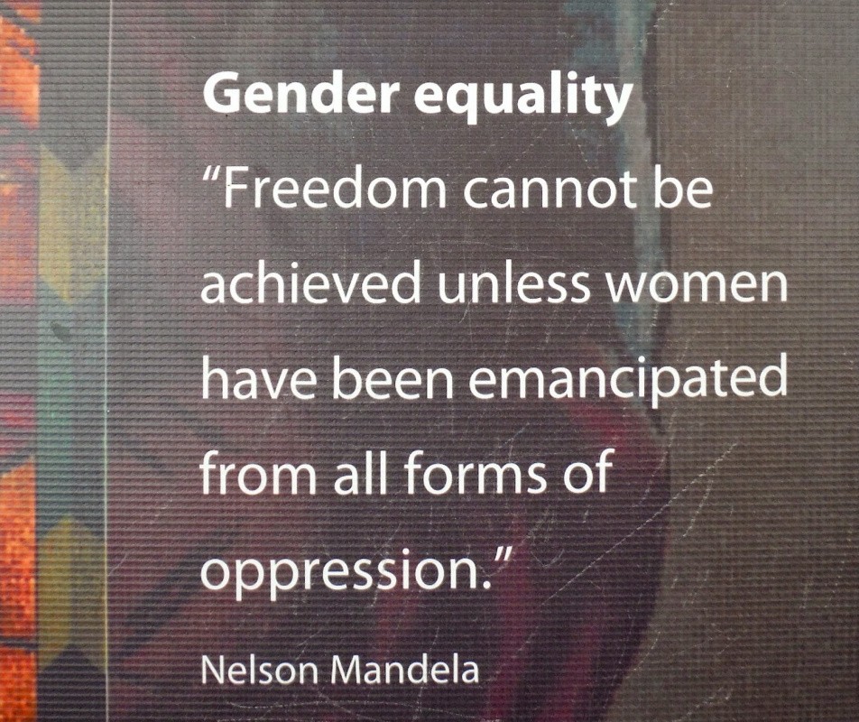 famous-gender-equality-quote-1-picture-quote-1.jpg