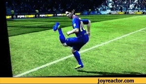 gif-camel-kick-689053.gif