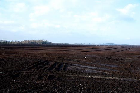 Image result for peat mines