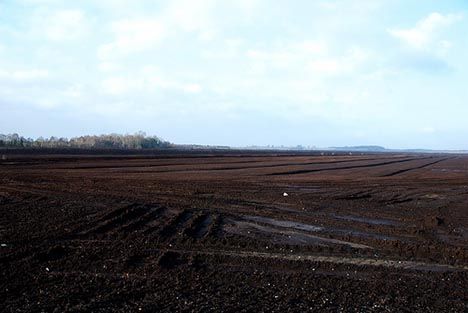 Image result for peat mines