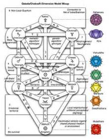 Image result for maps of consciousness