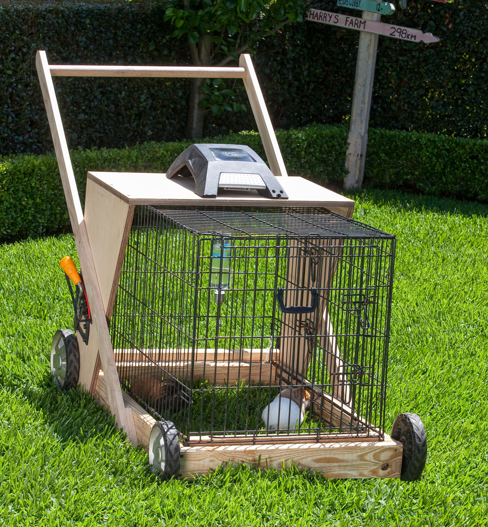161201_guinea_pig_lawn_mower.jpg
