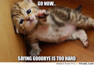 Cat-Goodbye-300x210.jpg