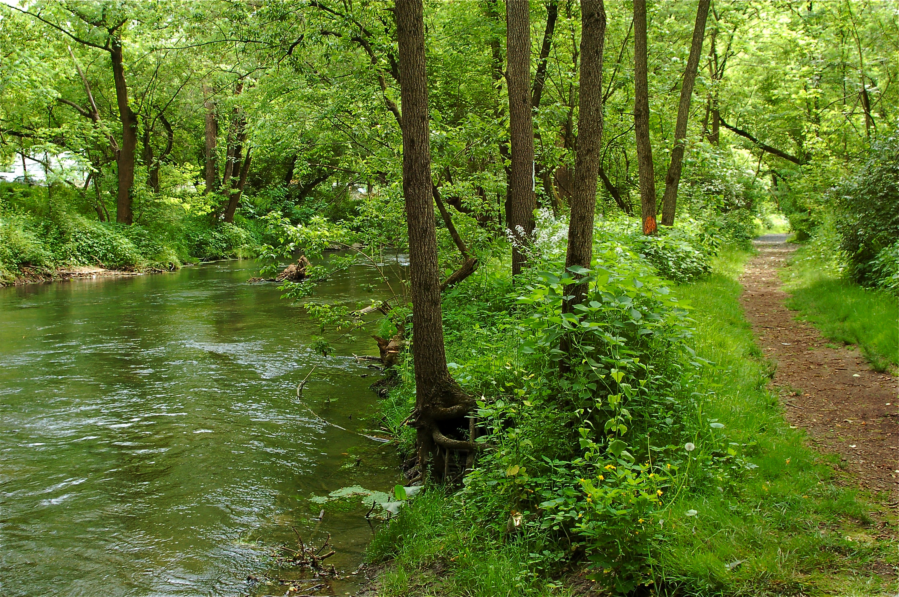 park-2010-barb-west.jpg