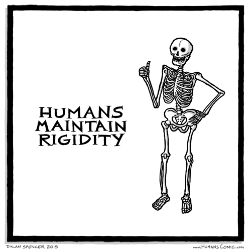017-bones.png