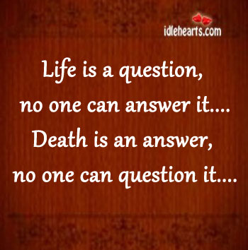 Life-is-a-question-no-one-can-answer-it.jpg
