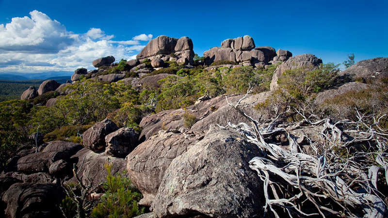 Image result for Cathedral Rock National Park Australia