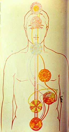 chakras_spleen2.jpg