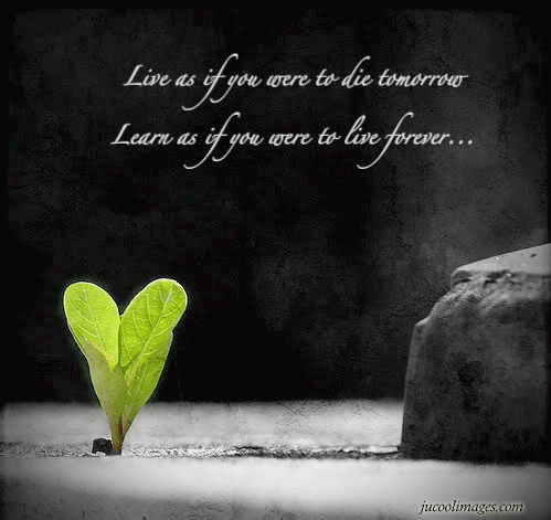 123767_20130820_103501_quote_zpsee4f0148.gif