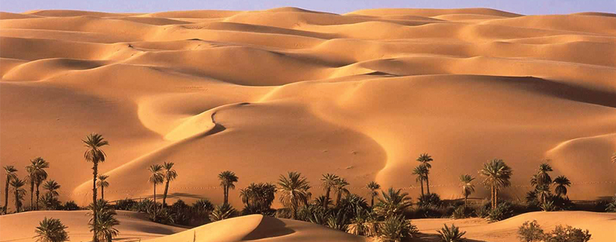 Image result for bahariya oasis