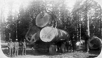 Logging-around-Flagstaff-late-1800s.jpg