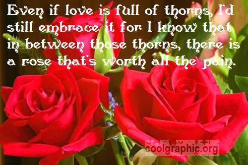 1614489509-Even-if-love-is-full-of-thorns-Id-still-embrace-it-for-I-know-that-in-between-those-thorns-there-is-a-rose-thats-worth-all-the-pain.jpg