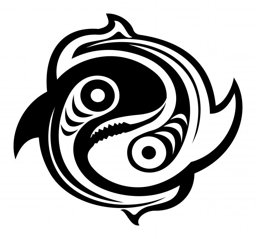 155718-850x794-yin-yang-fish.jpg