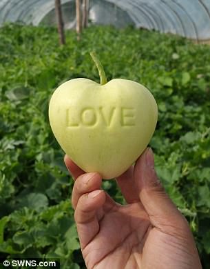 Heart shaped apples have been produced with the word 'love' across them