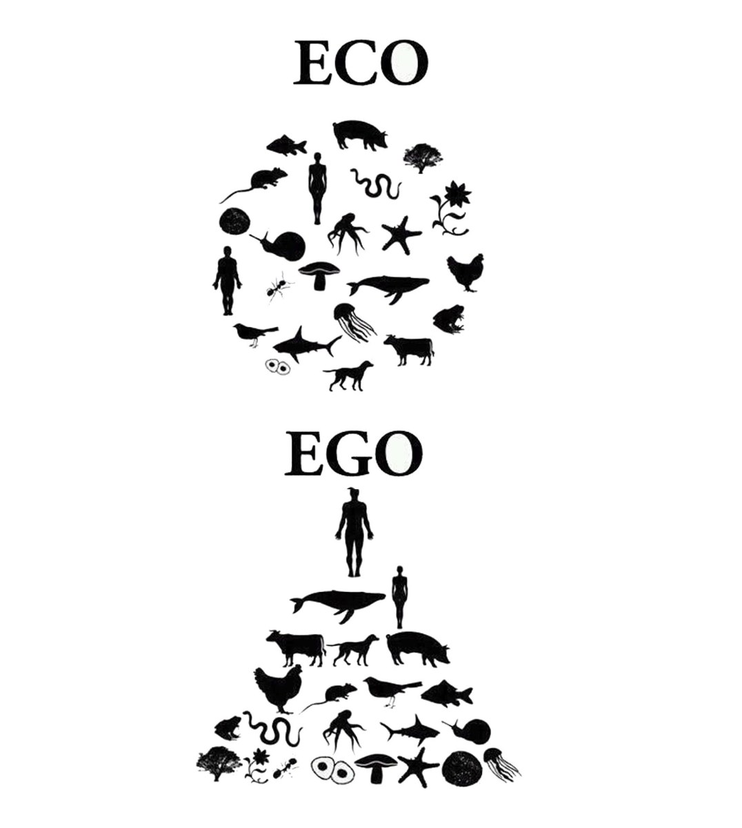eco-ego.jpg?fit=1200,1200