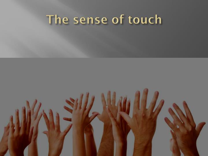 Image result for sense of touch
