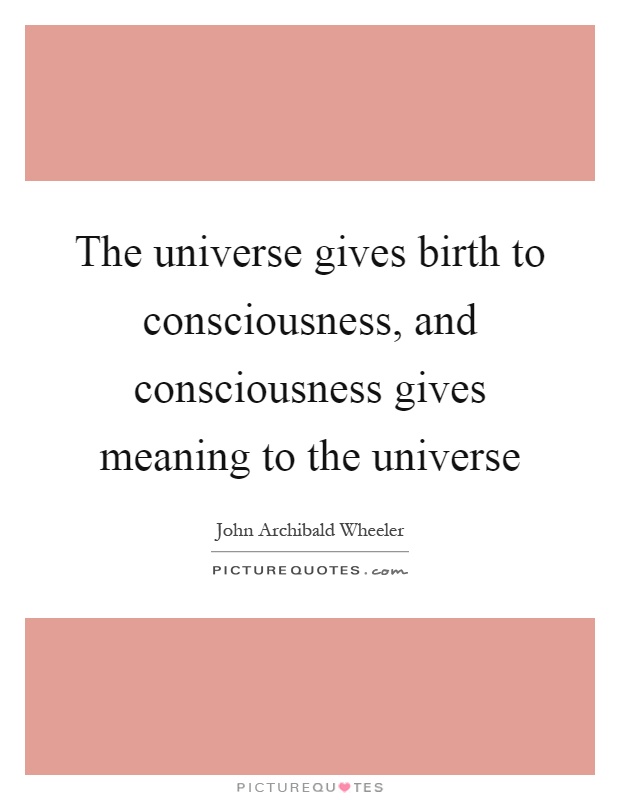 the-universe-gives-birth-to-consciousness-and-consciousness-gives-meaning-to-the-universe-quote-1.jpg