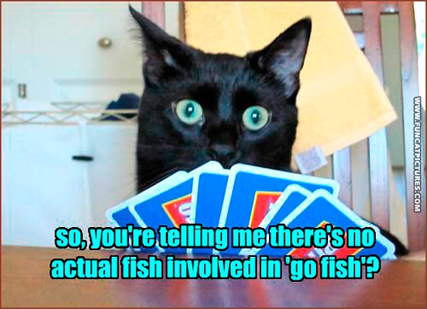 funny-cat-pictures-playing-card.jpg