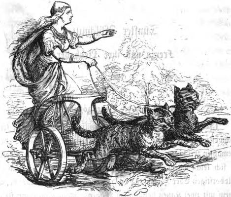 Image result for Freya is known for riding a chariot pulled by cats."