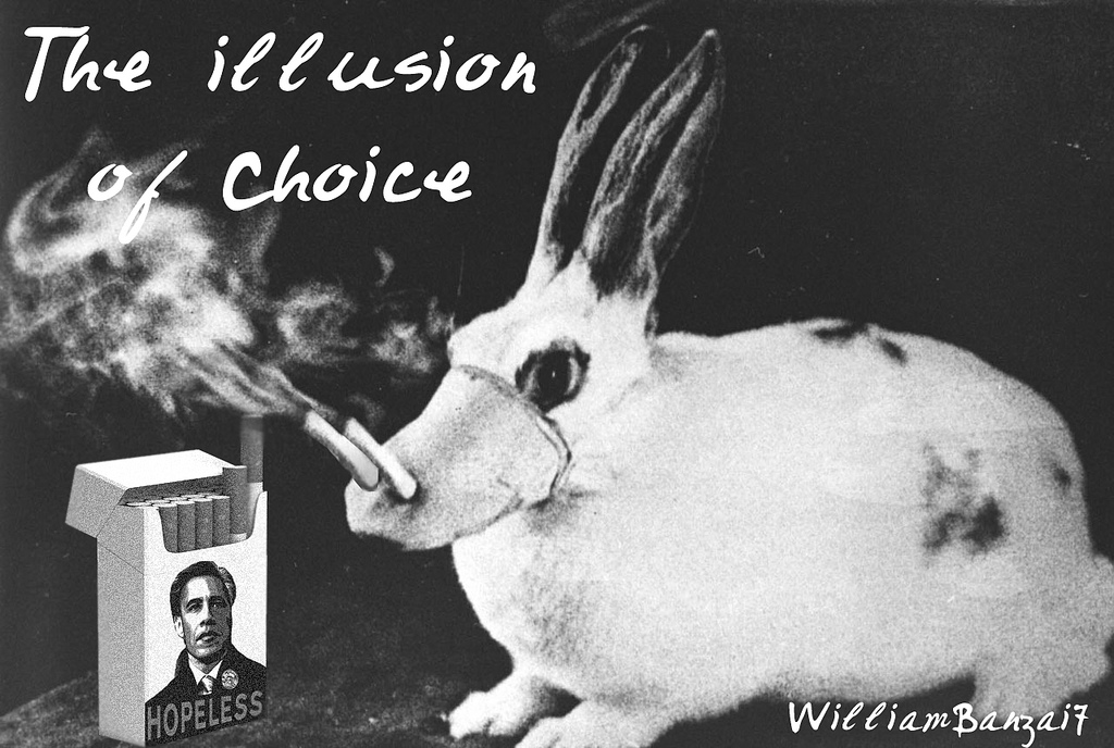 The-Illusion-Of-Choice.jpg