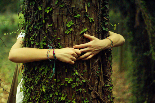 tree-hugger.jpg