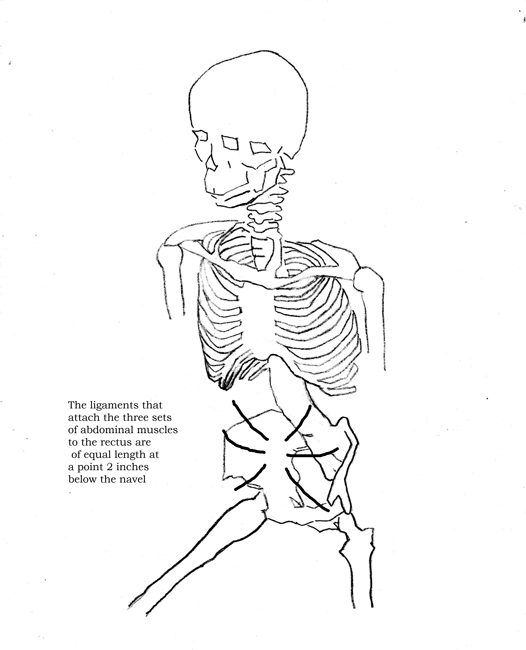 skeleton-three-quarter-front-text.jpg
