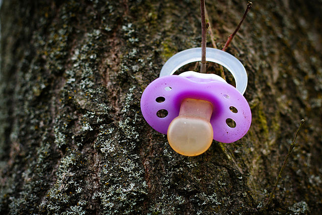 640px-Pacifier_on_tree.jpg
