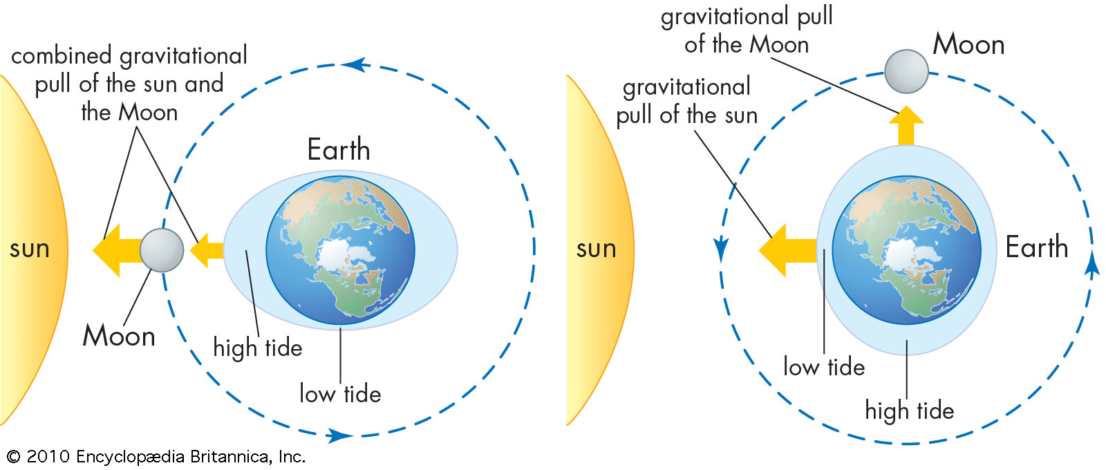 Earth-Tides-pull-water-Sun-and-the.jpg