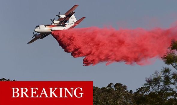 A-water-bomber-plane-has-crashed-after-a