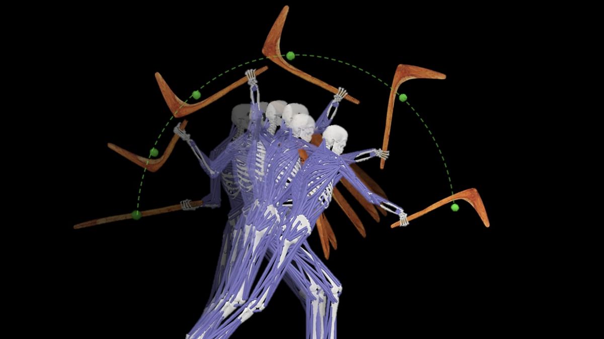 Ancient Indigenous weapons from Australia can deliver 'devastating blows,'  1st-ever biomechanics study of its kind reveals | Live Science