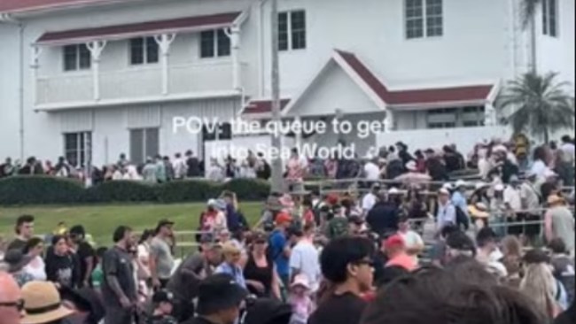 Never once seen it like that': Long weekend, school holidays mayhem at Sea  World, Gold Coast | Sky News Australia