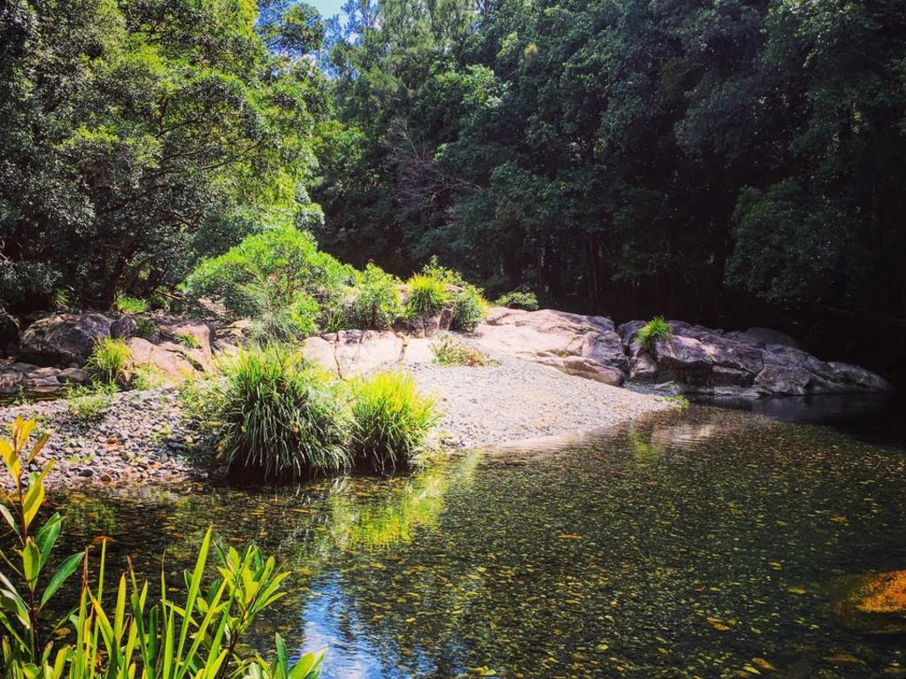 Bellingen, NSW | Best things to see and do