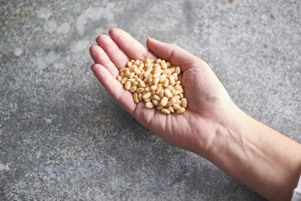 Handful_Pinenut-grey-background.jpg