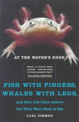 Image result for fingers in a fishfish with legs"