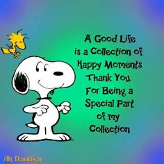 92 Best Snoopy Quotes images | Snoopy quotes, Snoopy, Snoopy love