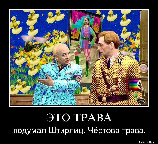 33451217.jpg