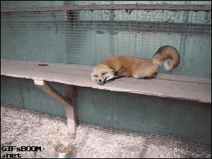 xSOPSY3.gif