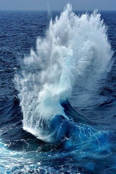 Gorgeous colors! #ocean #amazingnature  https://biopop.com/