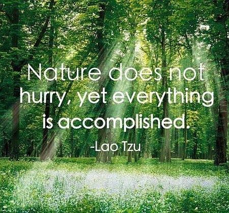 Ancient Wisdom of the Tao Te Ching – Lao Tzu Quotes