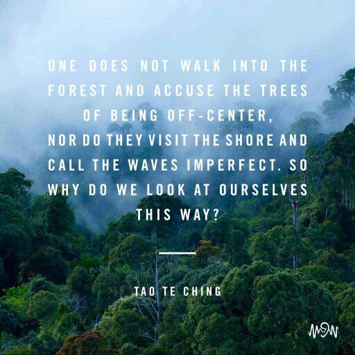 02b3ec810189e4b970e48b7230807921--taoism-nature-quotes.jpg