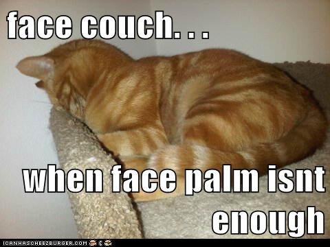 face couch. . . when face palm isnt enough
